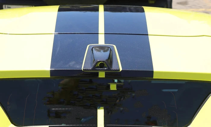 Carbon Fiber Convertible Roof Camera Cover Trim - Corvette C8