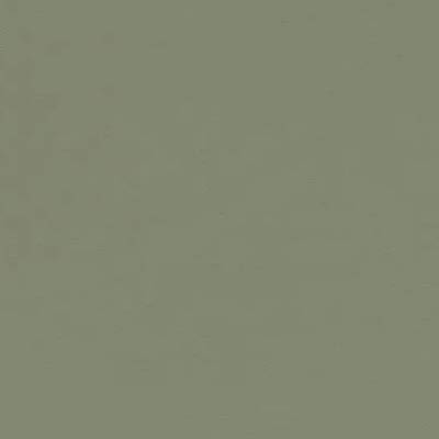 4184 olive