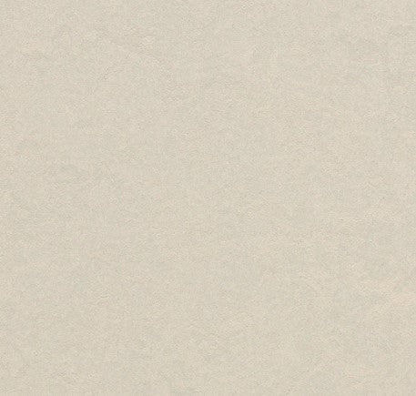 12"x12" Carton of 7 (6.78 sq/ft-box) / Edelweiss