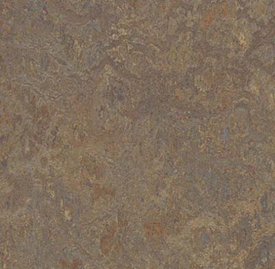 12"x12" Carton of 7 (6.78 sq/ft-box) / Cork Tree