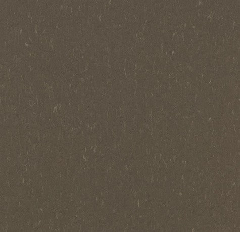 Hazelnut 3657