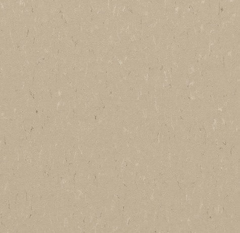Angora_3630