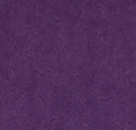Grape_3277