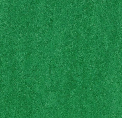 Moss_3282