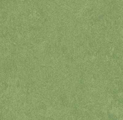 Leaf 3260