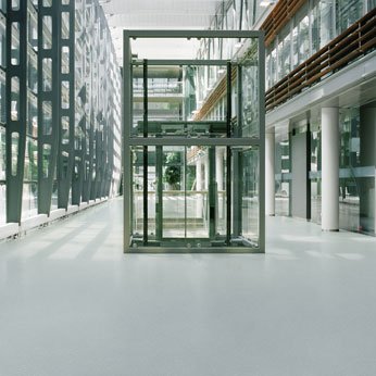 Forbo Marmoleum Piano Solid Sheet Flooring