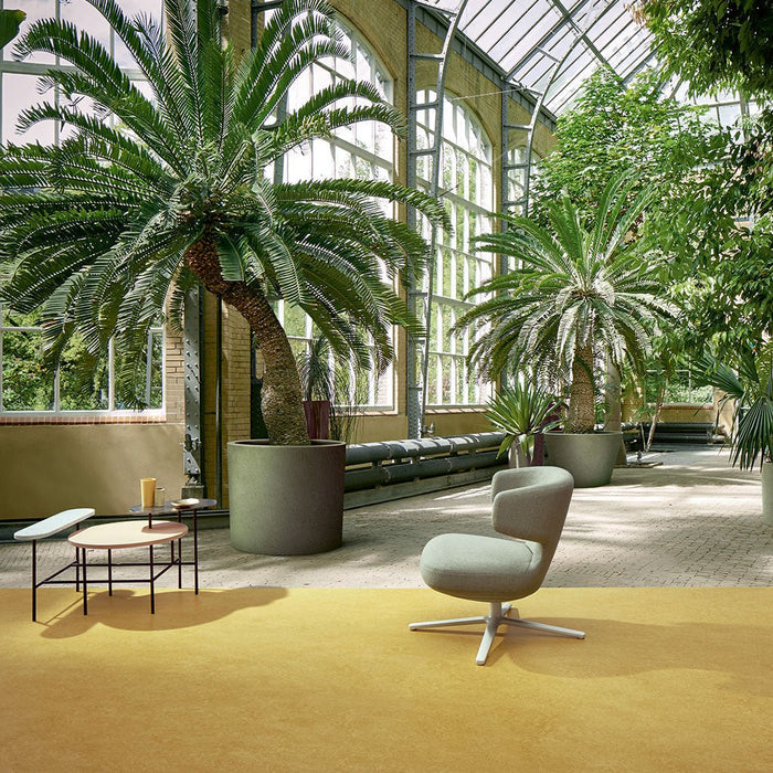 Forbo Marmoleum Real Marbled Sheet Flooring