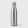 Insulated Water Bottle DOMINANCE