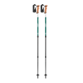 Leki budget trail hiking poles