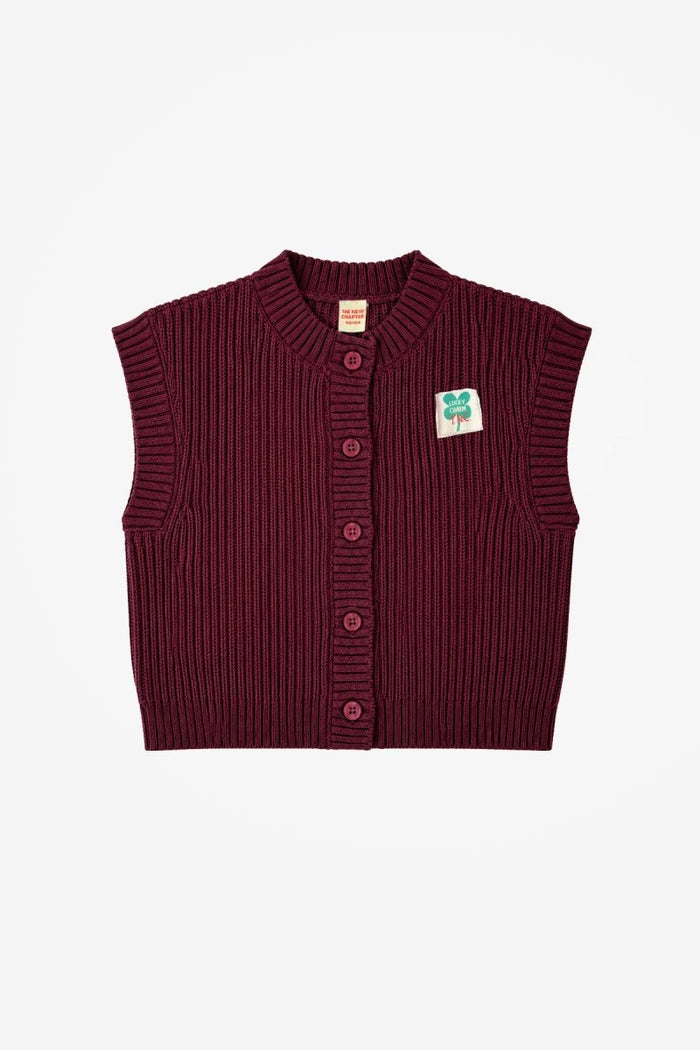 The New Chapter | Beau spencer | Burgundy