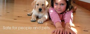 Exterior Water Proofer Infused with Juniper Safe for Pets and People