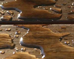 Vermont Natural Coatings PolyWhey Exterior Penetrating Stain